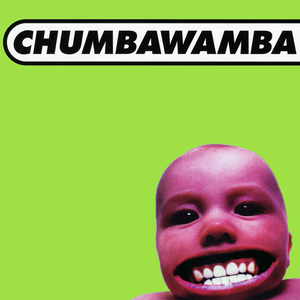 chumbawamba tubthumper