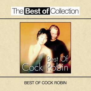 cock-robin-cock-robin