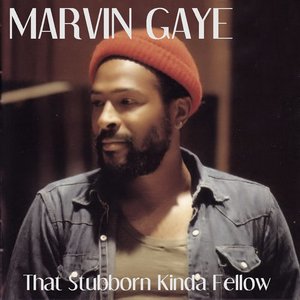 marvin-gaye-that-stubborn-kinda-fellow