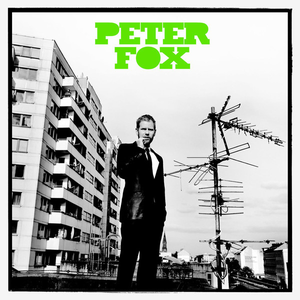 Peter Fox-Stadtaffe (2008)