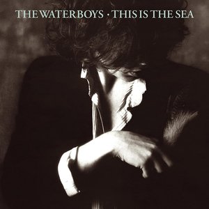 the-waterboys this-is-the-sea